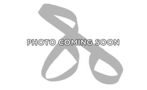 Ombre Purple Teal – 78 inch (198 cm) Skate Leash - Gear Leash